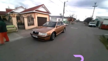 Pleaşov - Pleaşov