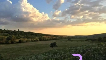 Pleşoi - Pleşoi