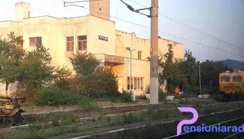 Plopșoru - Plopșoru