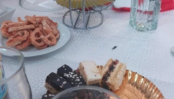 Poiana Codrului - Satu Mare