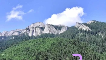 Poiana Stănile - Romania
