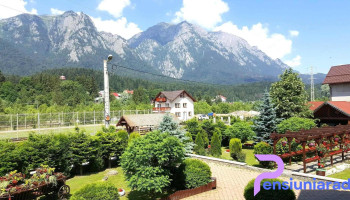 Poiana Țapului - Poiana Țapului