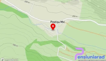 Poliţia Peştişu Mic - Peștișu Mic