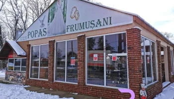 Popas Frumușani - Pasărea