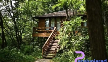 Porumbacu treehouse - Porumbacu De Sus