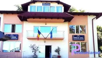 Primăria Budeasa - Budeasa Mare