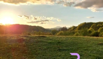 Primăria Cepari - Ceparii Pământeni