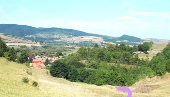Primăria Căpușu Mare - Căpușu Mare