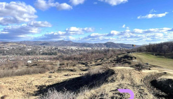 Primăria Poiana-Câmpina - Poiana Câmpina