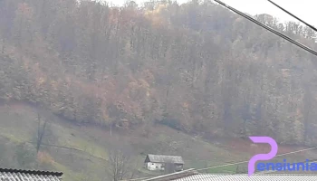 Primăria Rebra - Rebra