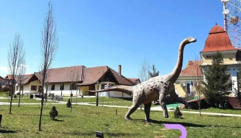 Primăria Sălașu de Sus - Sălașu De Sus