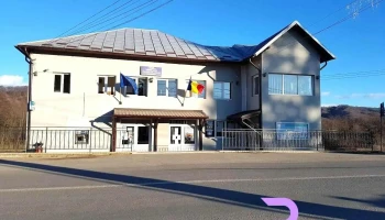 Primăria Vlădeşti - Vlădești