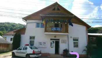 Primăria Vultureşti - Comuna Vulturești