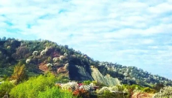 Prundu Bârgăului - Prundu Bârgăului