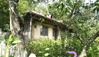 Puieni - Puieni
