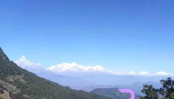 Purani - Purani