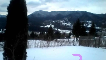 Purcăreni - Purcăreni