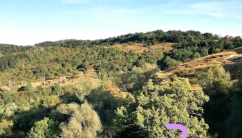 Păcureți - Păcureți
