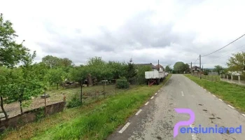 Păunu - Săcădat 417430