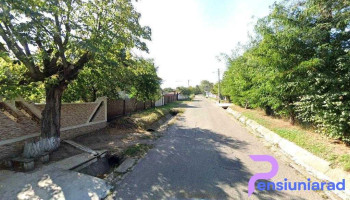 Raucesti Pui Gaini - Răucești