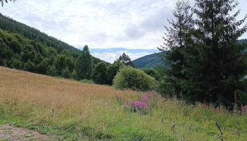 Râul Vărşag - Vărșag