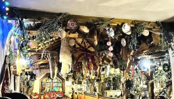 Restaurant Hanul Dacilor Ploiesti - Tătărani