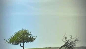 Răbăgani - Răbăgani