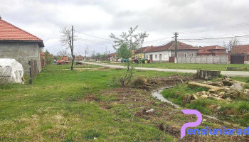 Răchita - Răchita
