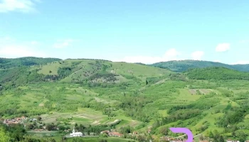 Răchitova - Răchitova