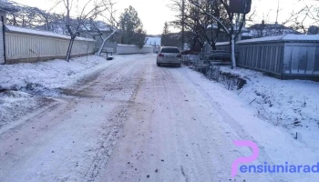 Rădeni - Rădeni