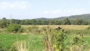 Rădești - Rădești