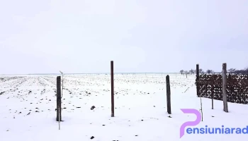 Răscăieţi - Răscăieţi