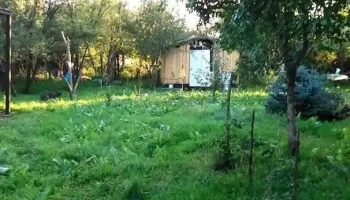 Răsuceni - Răsuceni