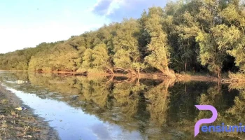 Segarcea-Deal - Segarcea-Deal