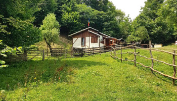 Stâna din Deal - Provița De Sus 107480