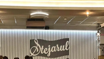 Stejarul - Dn72