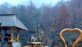 Sălciua de Sus - Sălciua De Sus