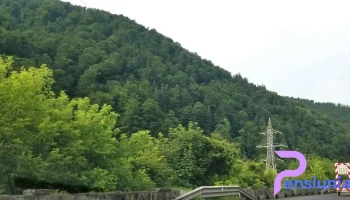 Tarcău - Tarcău
