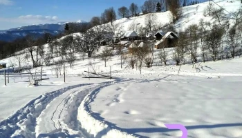 Telcișor - Telcișor