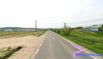 Terasa Carniceni - Iași