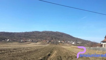 Toplița - Toplița