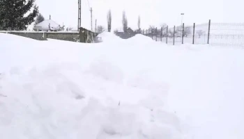 Troianul - Troianul