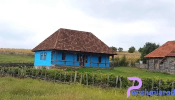Turț - Turț
