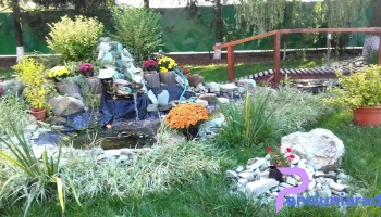 Tăriceni - Tăriceni