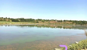 Ulmeni - Ulmeni