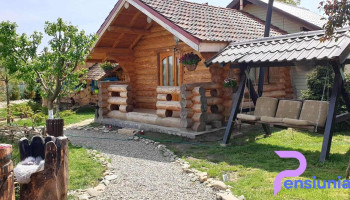 Valea celor doisprezece - Dobreni