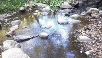 Valea Chiuzbăii - Dc5