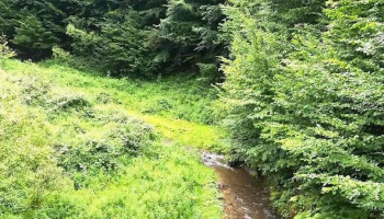 Valea Mare - Valea Mare