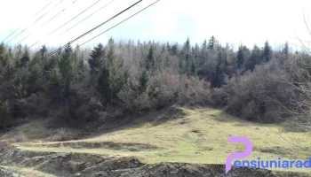 Valea Seacă - Valea Seacă