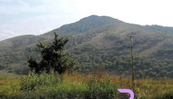 Valea Teilor - Valea Teilor